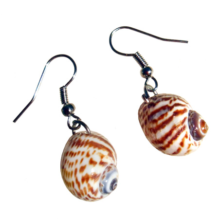 Boucles d'oreilles petits coquillages naturels artisanat de Bali