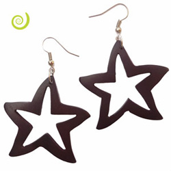 Boucles d'oreilles en Bois Originales Caramboles