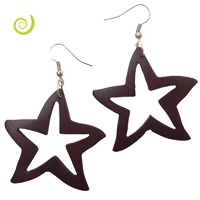 Boucles d'oreilles en Bois Caramboles